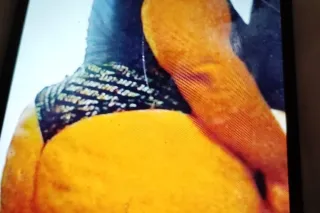 🌧🌧 💣🔥💣🔥 50 qv with rubber and 90 without - Image 12